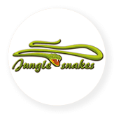 Jungle Snakes - 4 toboganes de tubo de agua PIPEline Siam Park Teneriffa