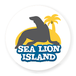 Sea Lion Island - Sea Lion Pool Siam Park Teneriffa